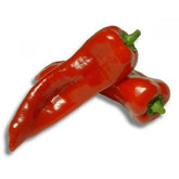 Hectarul - Seminte Ardei KAPYA Horti Tops 1.5 g